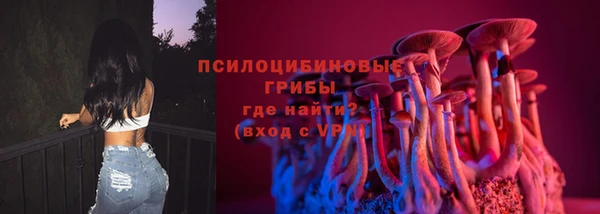 ECSTASY Богородицк