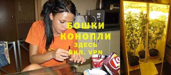 ECSTASY Богородицк