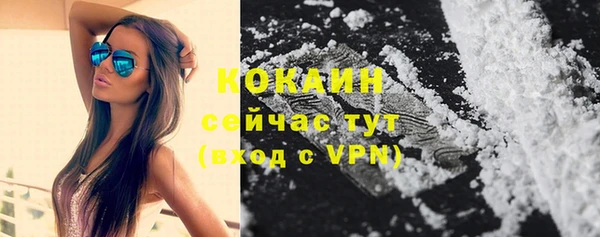 бошки Гусь-Хрустальный
