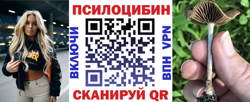 Галлюциногенные грибы Cubensis  гидра tor  Карабулак 